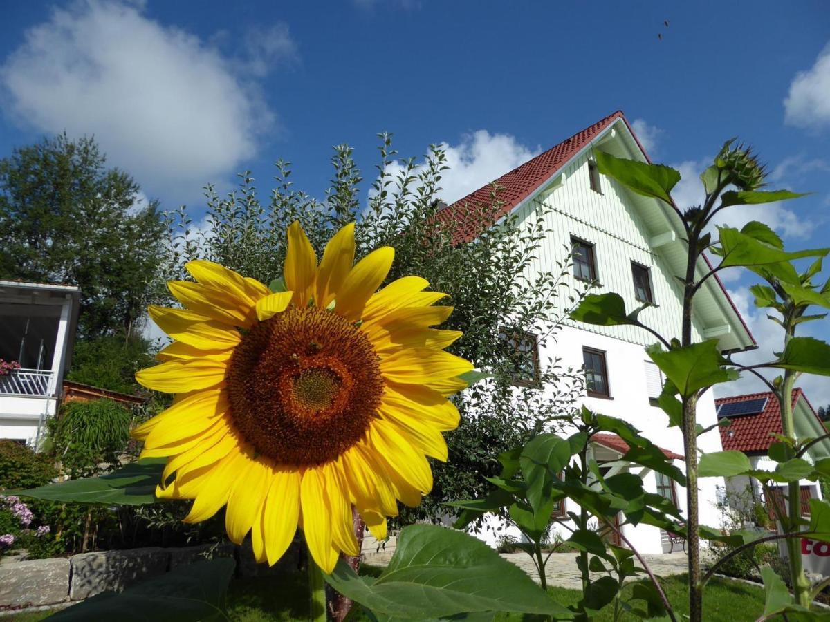 Erholungsraum Karsee - Ferienwohnung Wangen im Allgäu Esterno foto